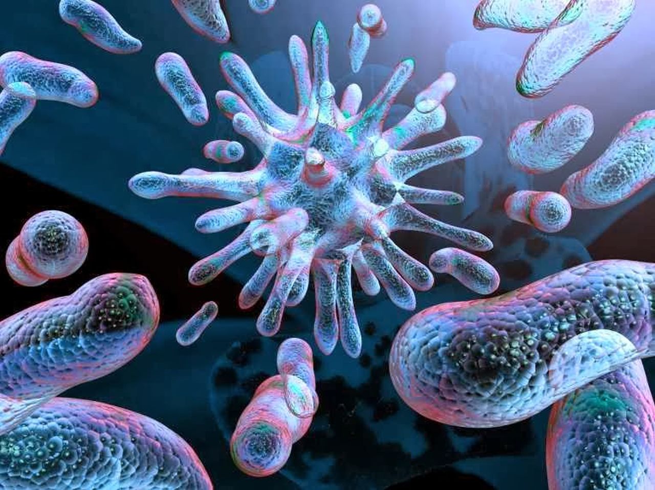 Gastrointestinal Pathogen Panel